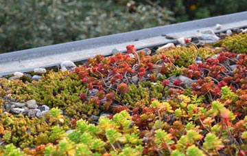 the cost of Freezy Water green roof installation