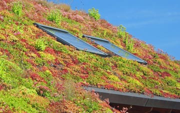 Freezy Water living roof systems