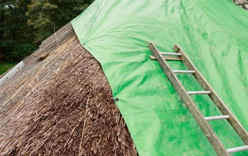 maintaining Freezy Water thatch